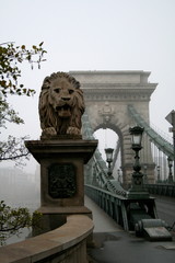 lion statue in budapest hungary