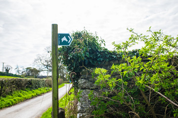 Green Brialway Marker for horse's and people