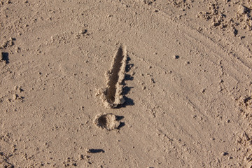 exclamation mark on beach sand