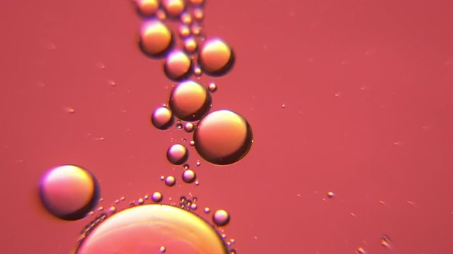 Motion of bronze colored oil bubbles in a liquid in slow motion. Beautiful structure of oil and water in macro as natural background footage.
