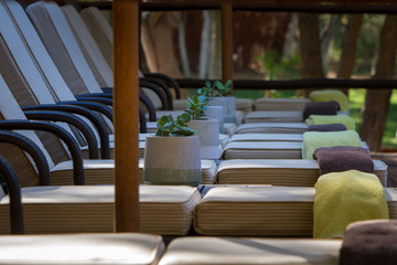 loungers in a row