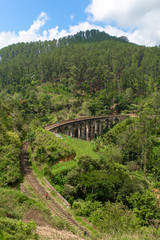 The famous nine-arch bridge of the railway in the jungle in Sri Lanka