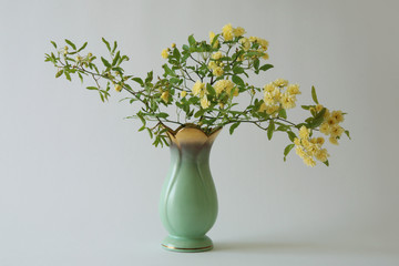 Fiori in vaso; roselline gialle, in vaso vintage verde e oro isolato su fondo chiaro