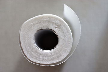 roll of paper towels - top view