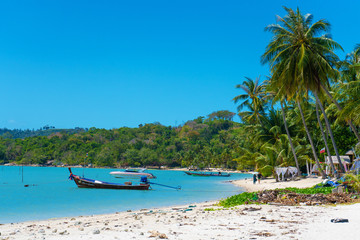 Tropical beach landscape. Perfect white sand, green palm trees and blue water. Travel and relaxation in the tropics