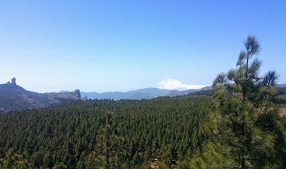 ROQUE NUBLO
