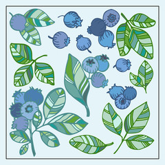 Blueberry leaves doodle hand drawn graphics vector