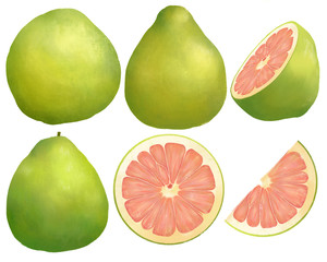 Pomelo fruits isolated on white background. Pomelo slice, half cut pomelo .