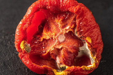 Spoiled tomato on a black background. Tomato with mold. Improper storage of vegetables. Waste food. Close up