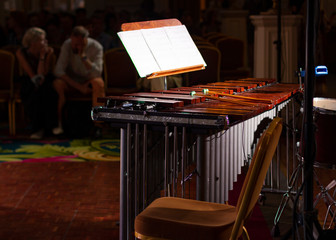 Wooden vibrophone. Vibraphone in a chamber concert hall. Vibraphone. Percussion instrument.