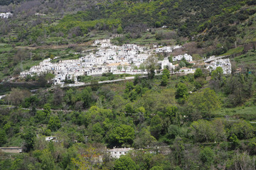 Fototapeta na wymiar The mountain landscape with the slope covered by green trees and shrubs, the far village with white houses.