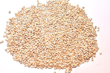 Soya Bean, Red Bean,Green Bean isolated White Background