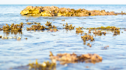 Detalle de rocas bañadas por el mar en la costa del Mediterráneo