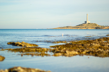Paisaje panorámico a la orilla del Mar Mediterráneo con el faro de Cabo de Palos en la costa de...