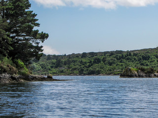 Bantry Bay, View with Trees and Hills
