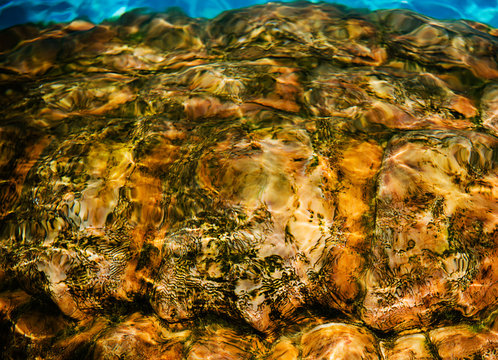 Close up of a sea turtle shell underwater, Brazil