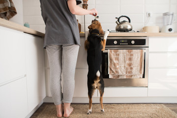 young woman cooks in the kitchen with a dog