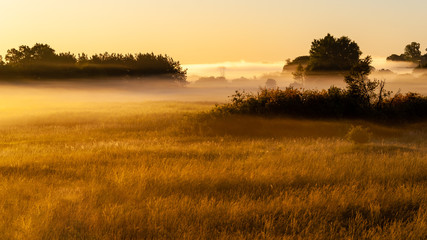 Poranne mgły nad Narwią. Dolina Górnej Narwi, Podlasie, Polska © podlaski49