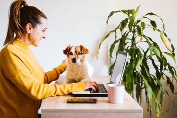 young woman working on laptop at home, wearing protective mask, cute small dog besides. work from home, stay safe during coronavirus covid-2019 concpt