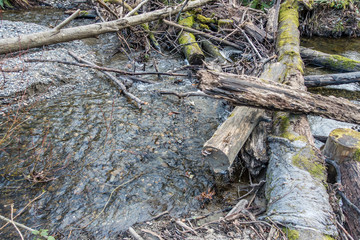 Log Pile In Stream 5
