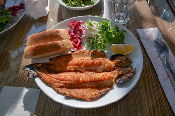 Delicious grilled trout with salad