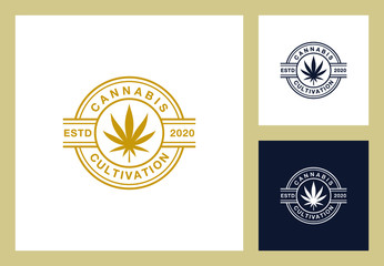 cannabis logo design premium vector