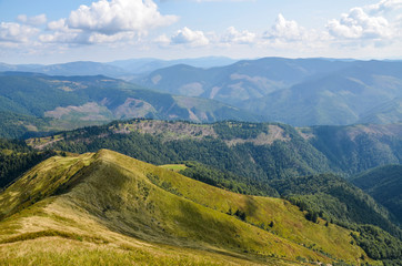 Ridge with grassy slopes and fir trees. Mountains and valleys of Carpathians in a far distance. beautiful summer scenery of Ukraine