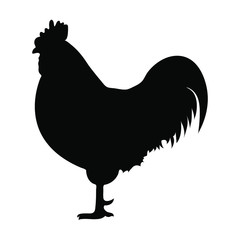 rooster icon isolated on white