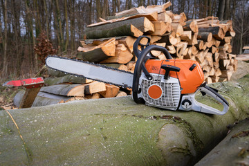 Waldbauern bzw. Waldarbeiter schneiden und verkleinern gefällte Bäume zu Brennholz. Forsttechnik...