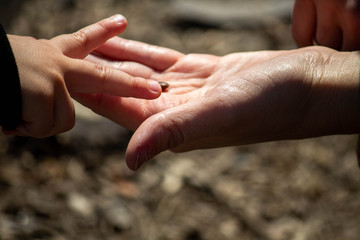 Mother and child hands give each other something