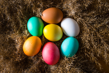 Colored easter eggs in a bird's nest