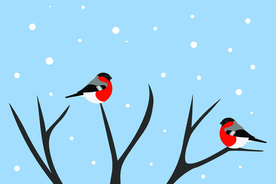 birds on a branch, bullfinch vector in winter tree © Kseniia