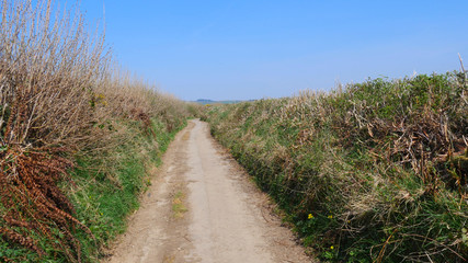 Fototapeta na wymiar Small country roads, tracks in South East Cornwall, UK in springtime sunshine.