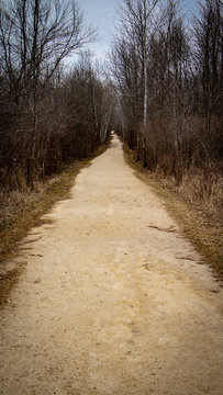 Gravel Hiking Path To The Woods