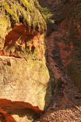 Red limestone rock with a steep edge. Natural ecosystem in the national park of Gauja, Latvia.