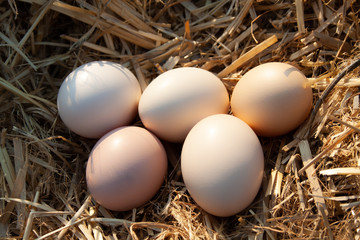 Many eggs lie on the background of hay, top view.