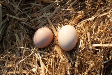 Two eggs lie on a background of hay, top view.