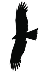 kite  in the sky vector illustration