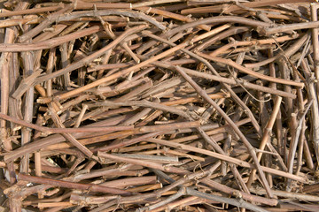 Pile of many cut grapevine twigs as natural background.