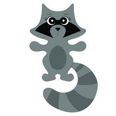 raccoon vector isolated  on white background