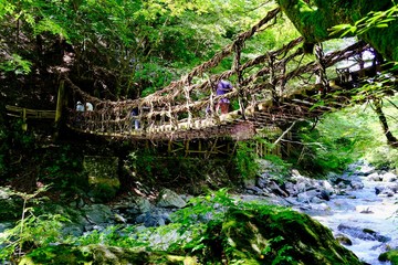 奥祖谷二重かずら橋