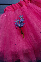 Pink tutu skirt for girl on blue wooden background.