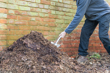 Man turning a compost heap in a garden, UK