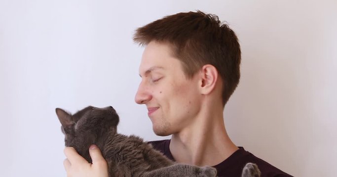 guy on a white background plays with a gray fluffy cat