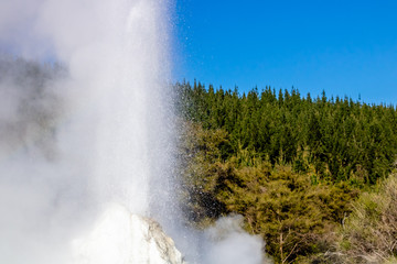 Lady Knox Geyser getting ready to explode and then exploding, Rotarua, New Zealand