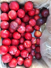 Delicious fresh red plums on the market