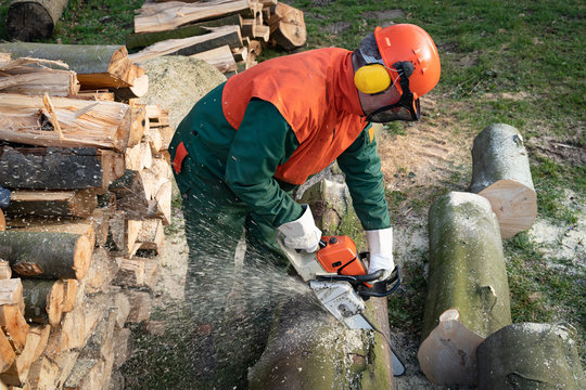Waldbauern bzw. Waldarbeiter schneiden und verkleinern gefällte Bäume zu Brennholz. Forsttechnik und Arbeitsschutz sind unentbehrlich bei der teilweise sehr schweren Arbeit.