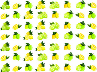 beautiful fresh illustrations of fruits