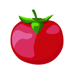 Tomato fresh. Healthy diet flat style vector illustration. Isolated food, can be used in restaurant menu, cooking books and organic farm label.