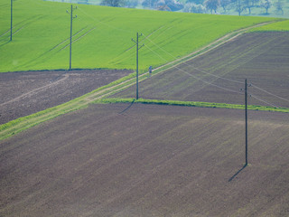 Strommasten im Frühjahr